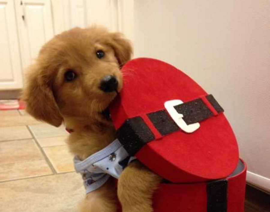 Merry Christmas 2015