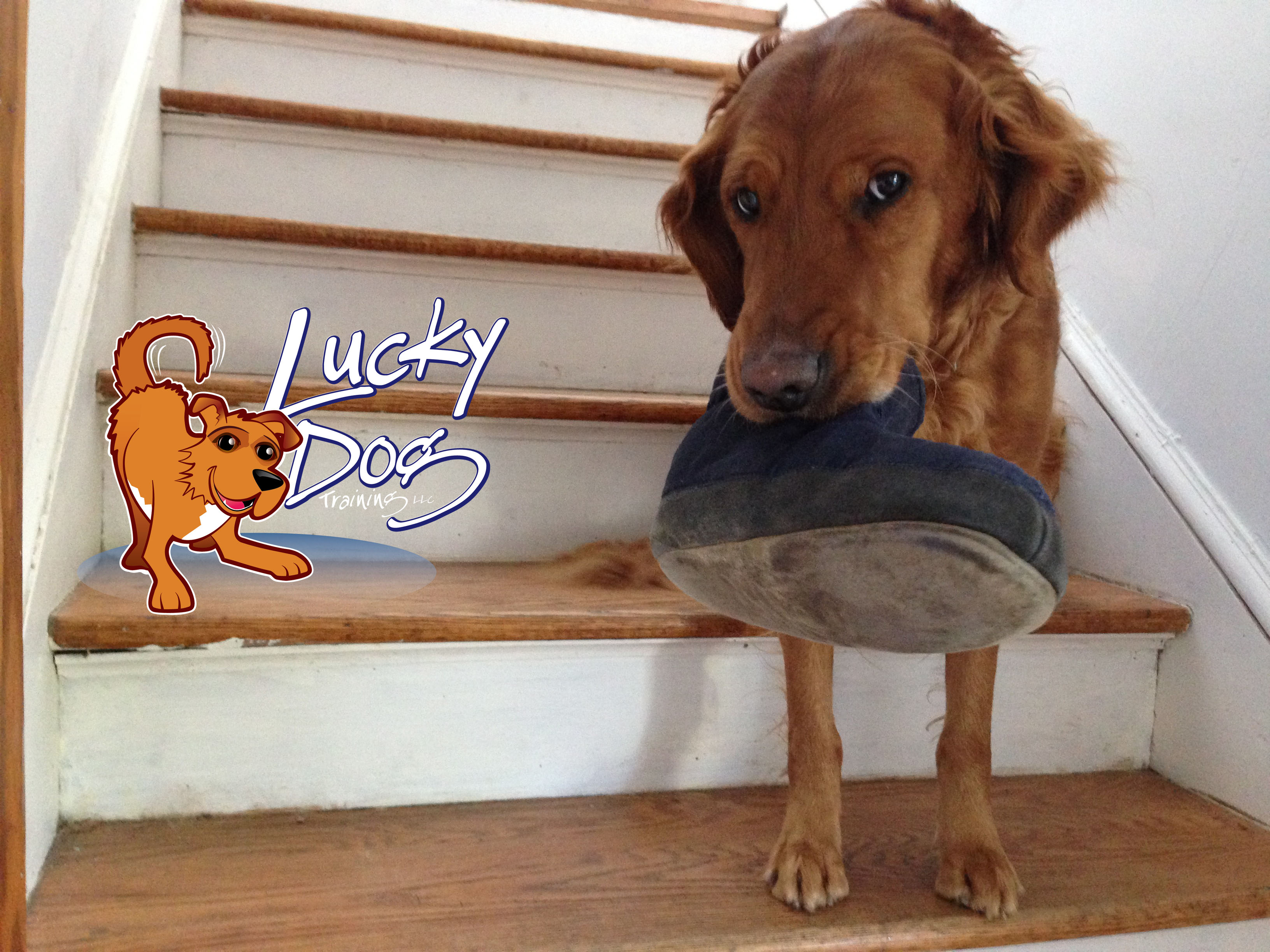 Daily Motivations – Day 1