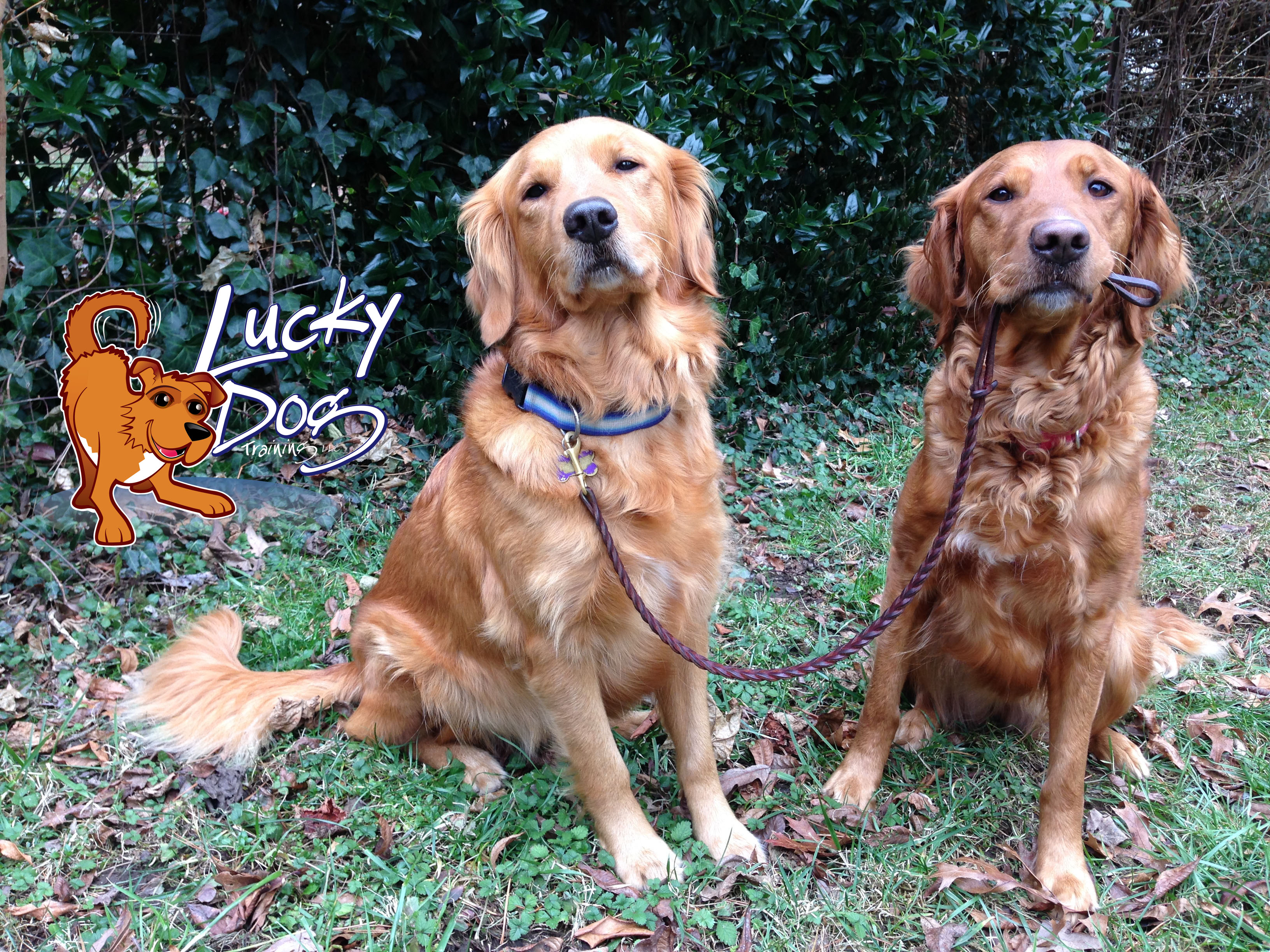 Daily Motivations – Day 2