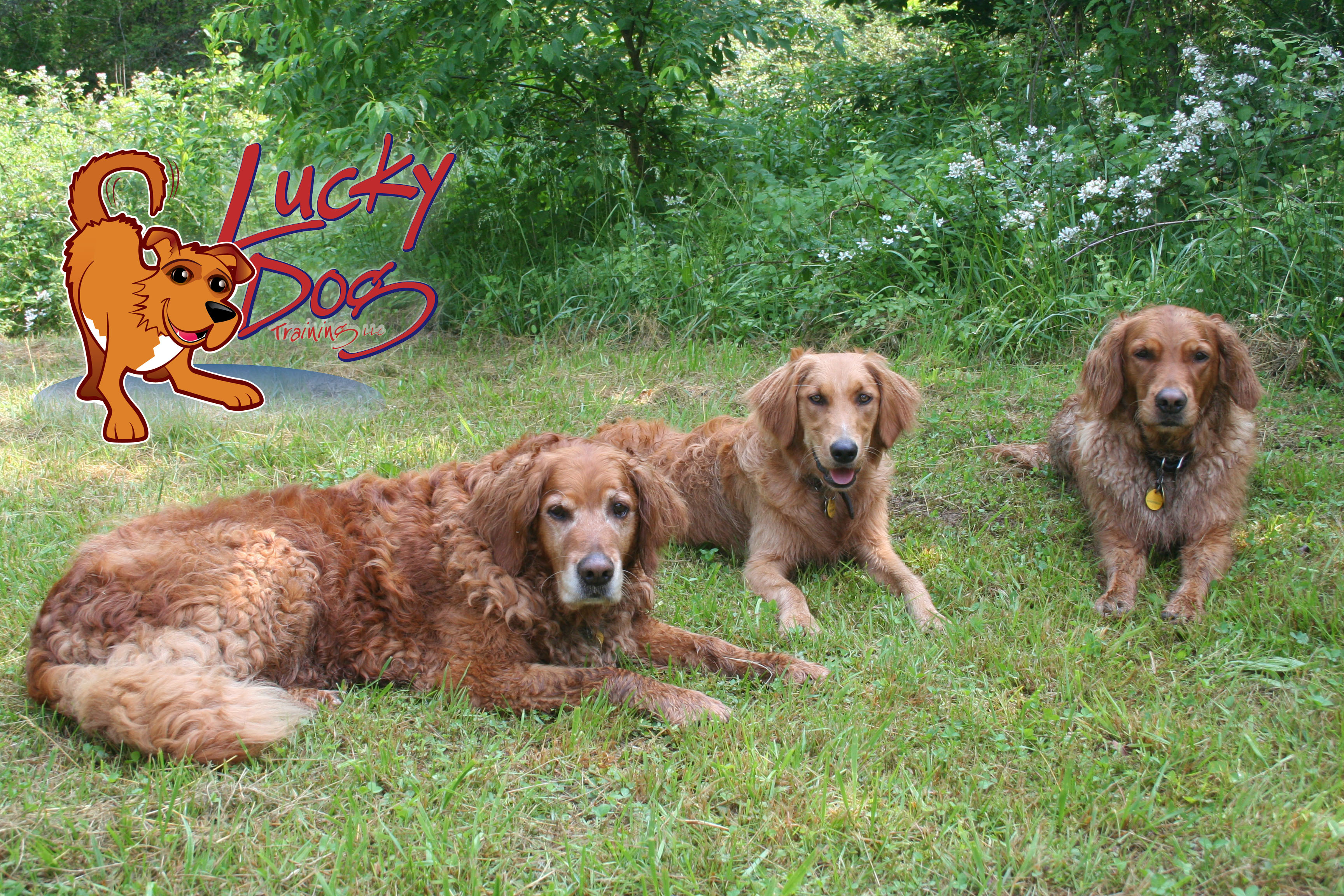 Daily Motivations – Day 4