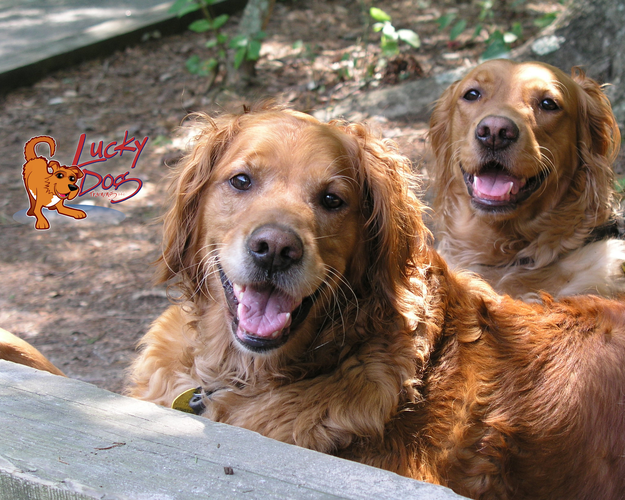 Daily Motivation – Day 30