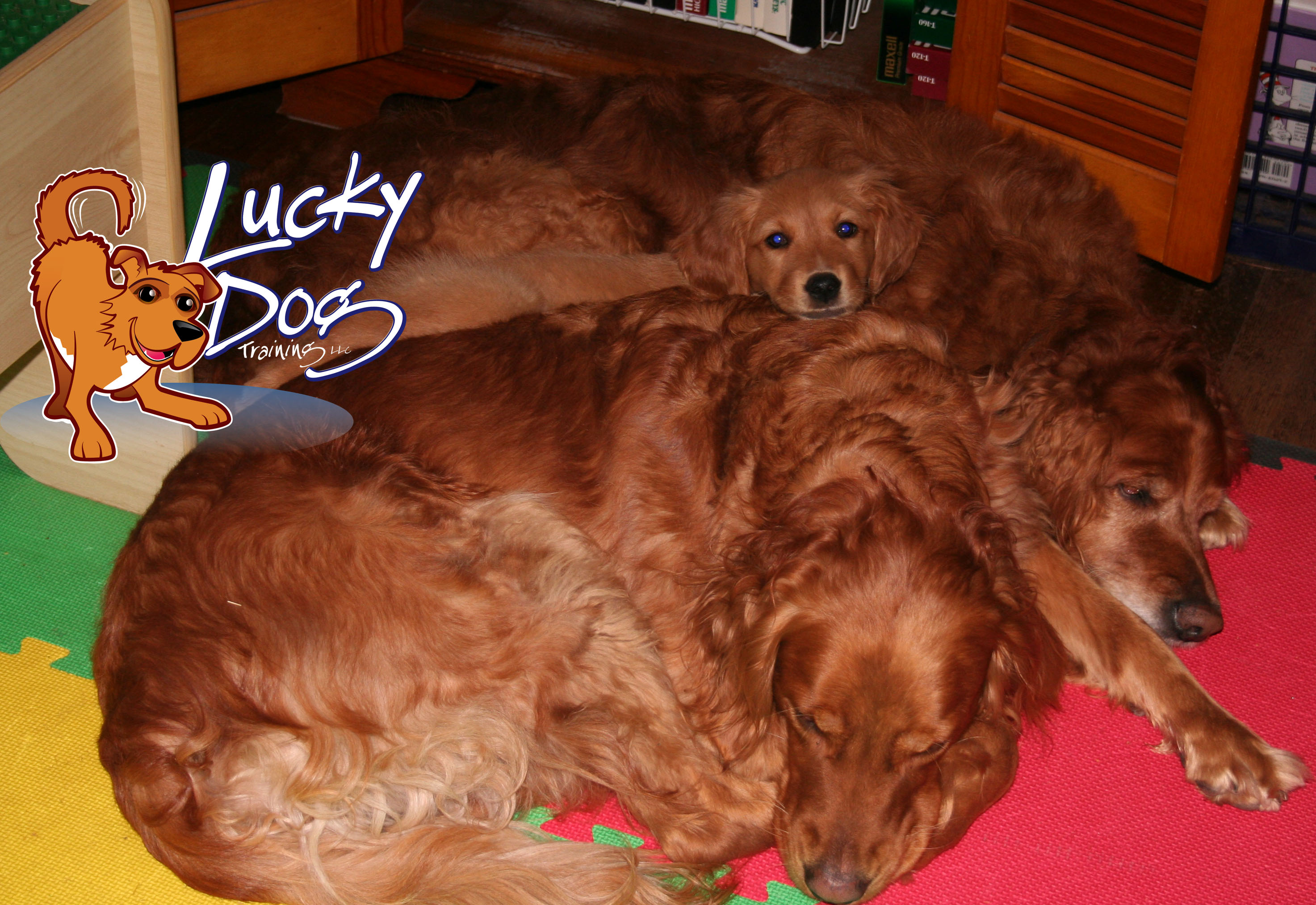 Daily Motivations – Day 9