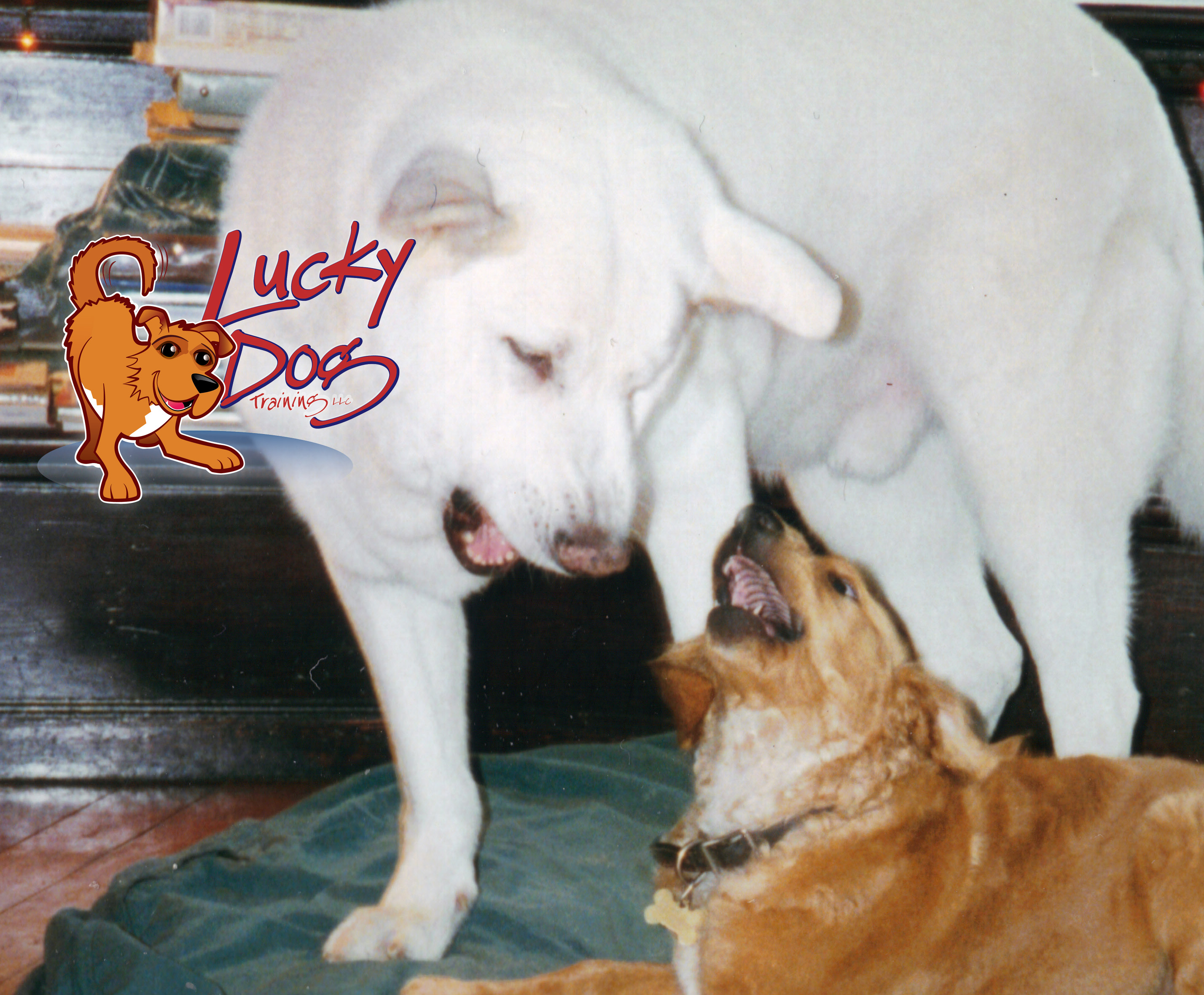 Daily Motivations – Day 19