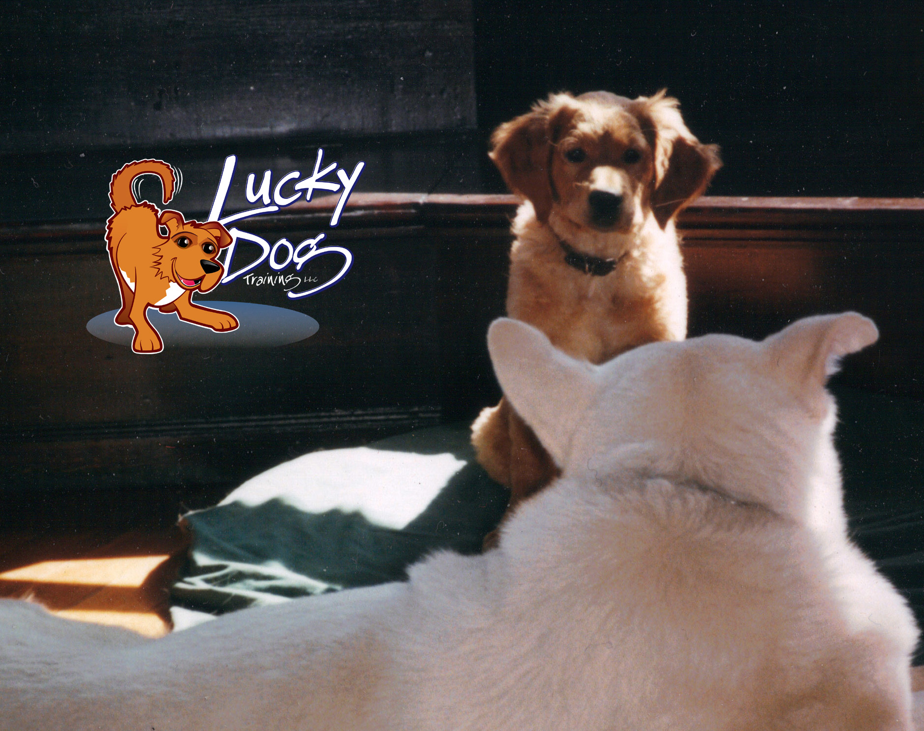 Daily Motivations – Day 18