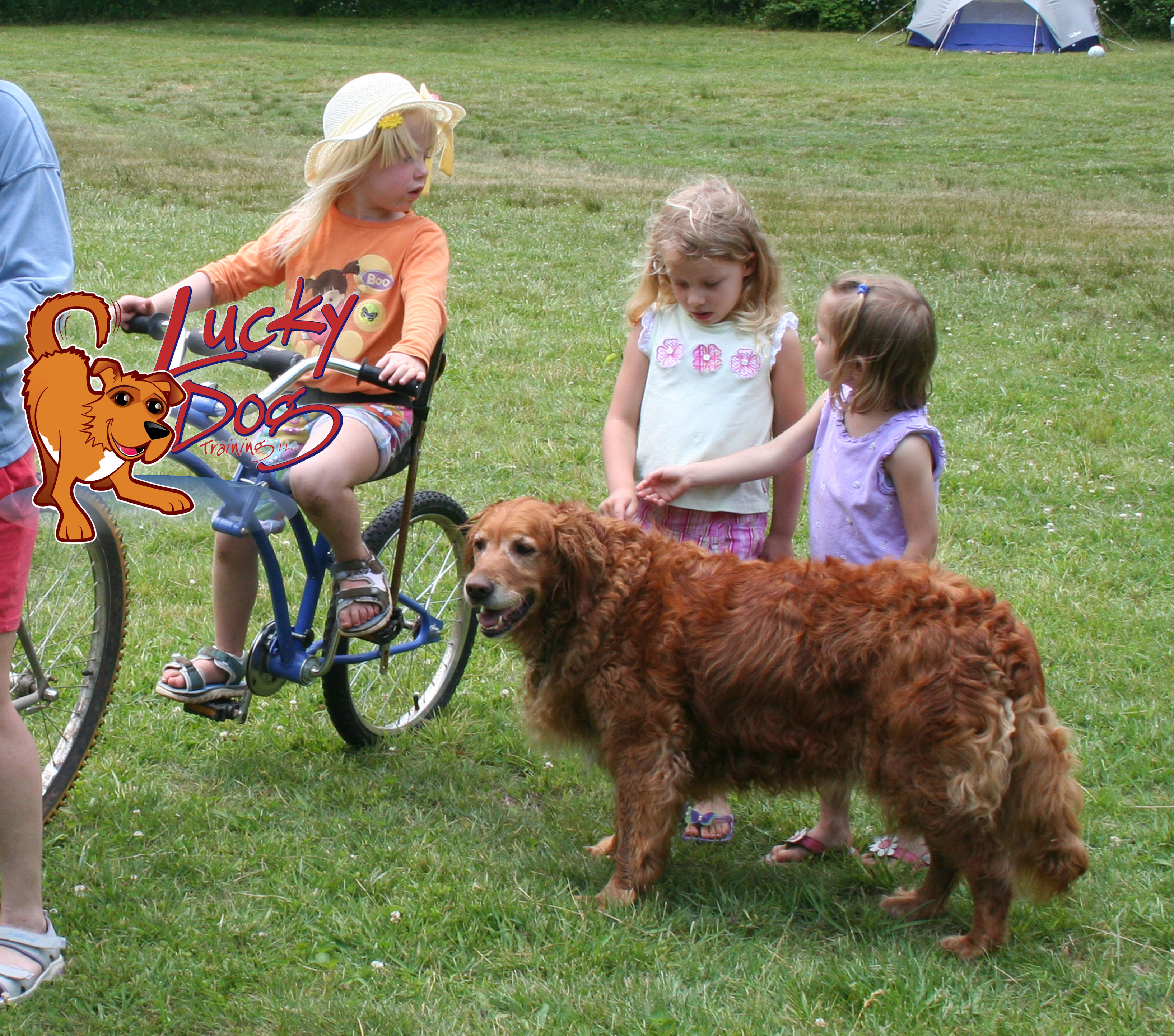 How To Train Your Dog – Part 2