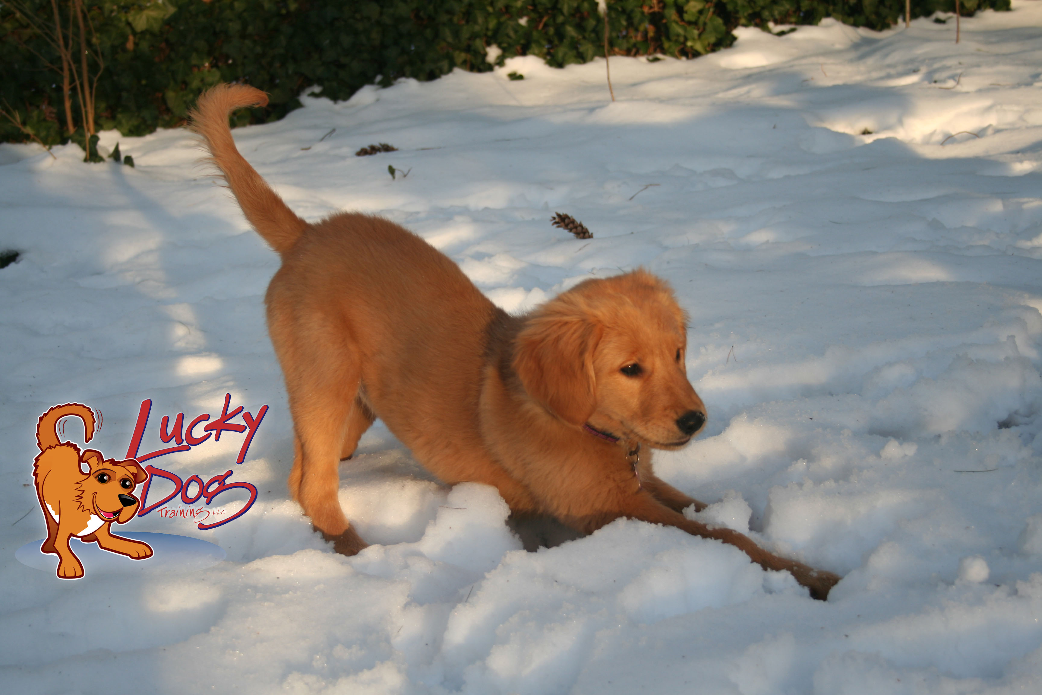 Daily Motivations – Day 7