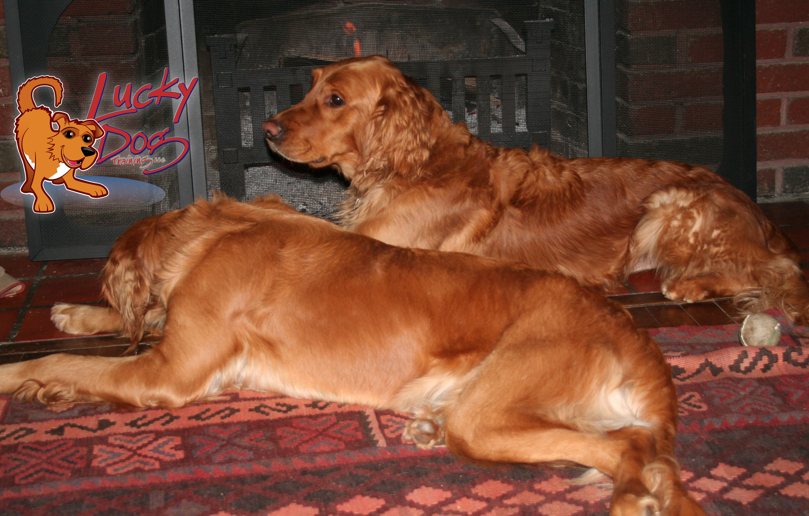 Daily Motivations – Day 8