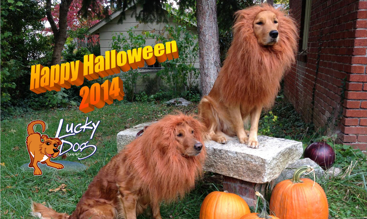 Happy Halloween 2014