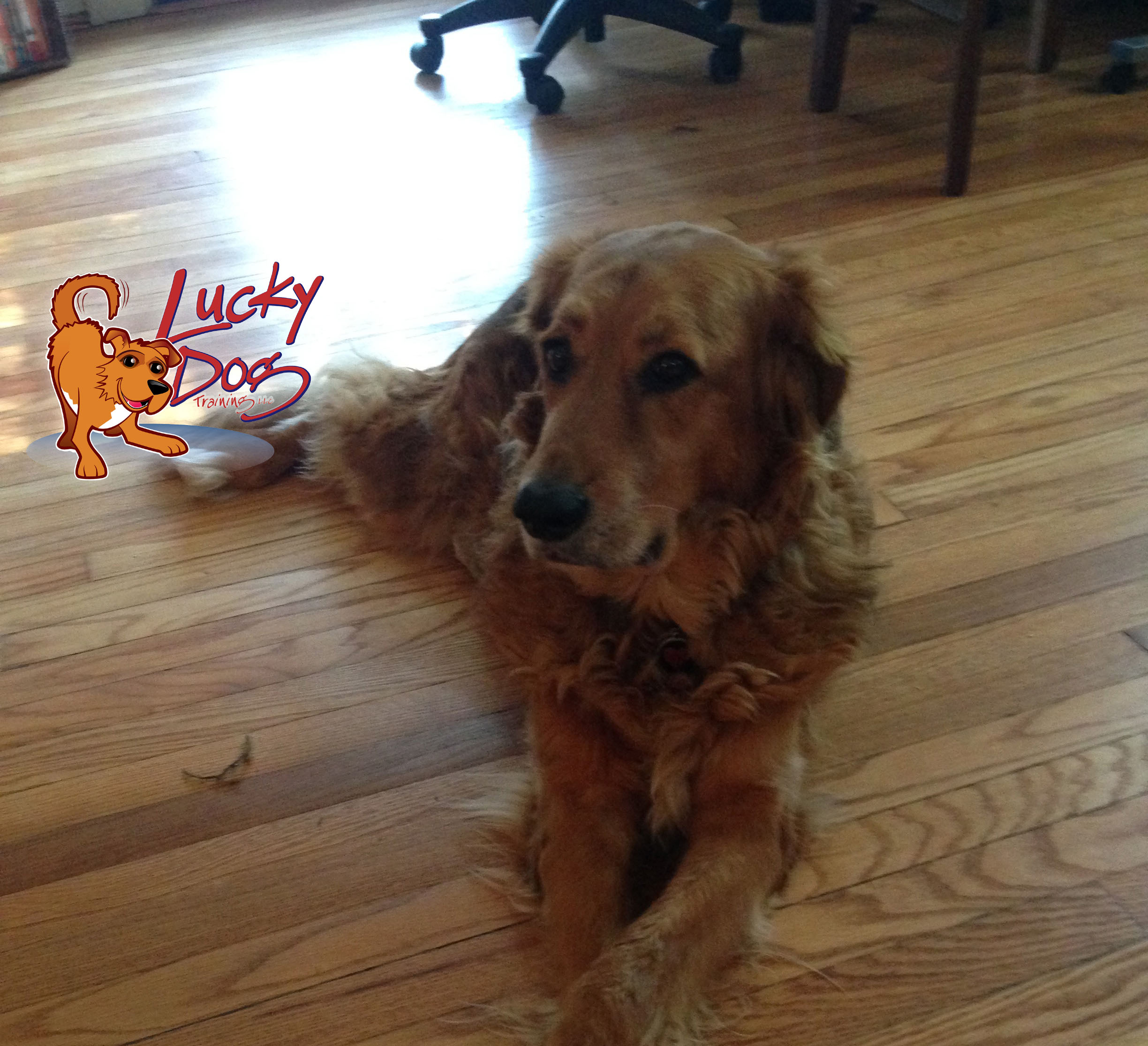 Daily Motivations – Day 12