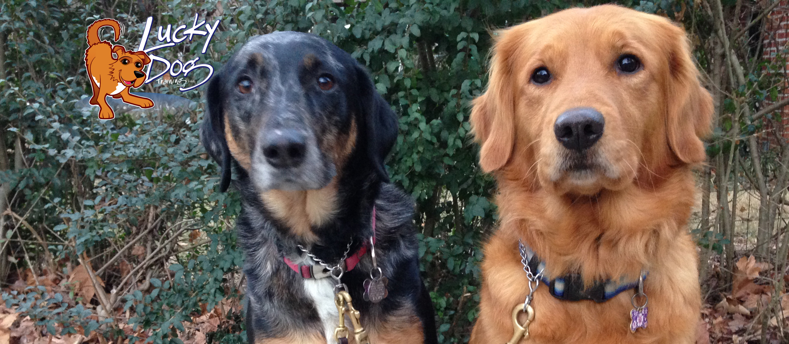 Daily Motivations – Day 17