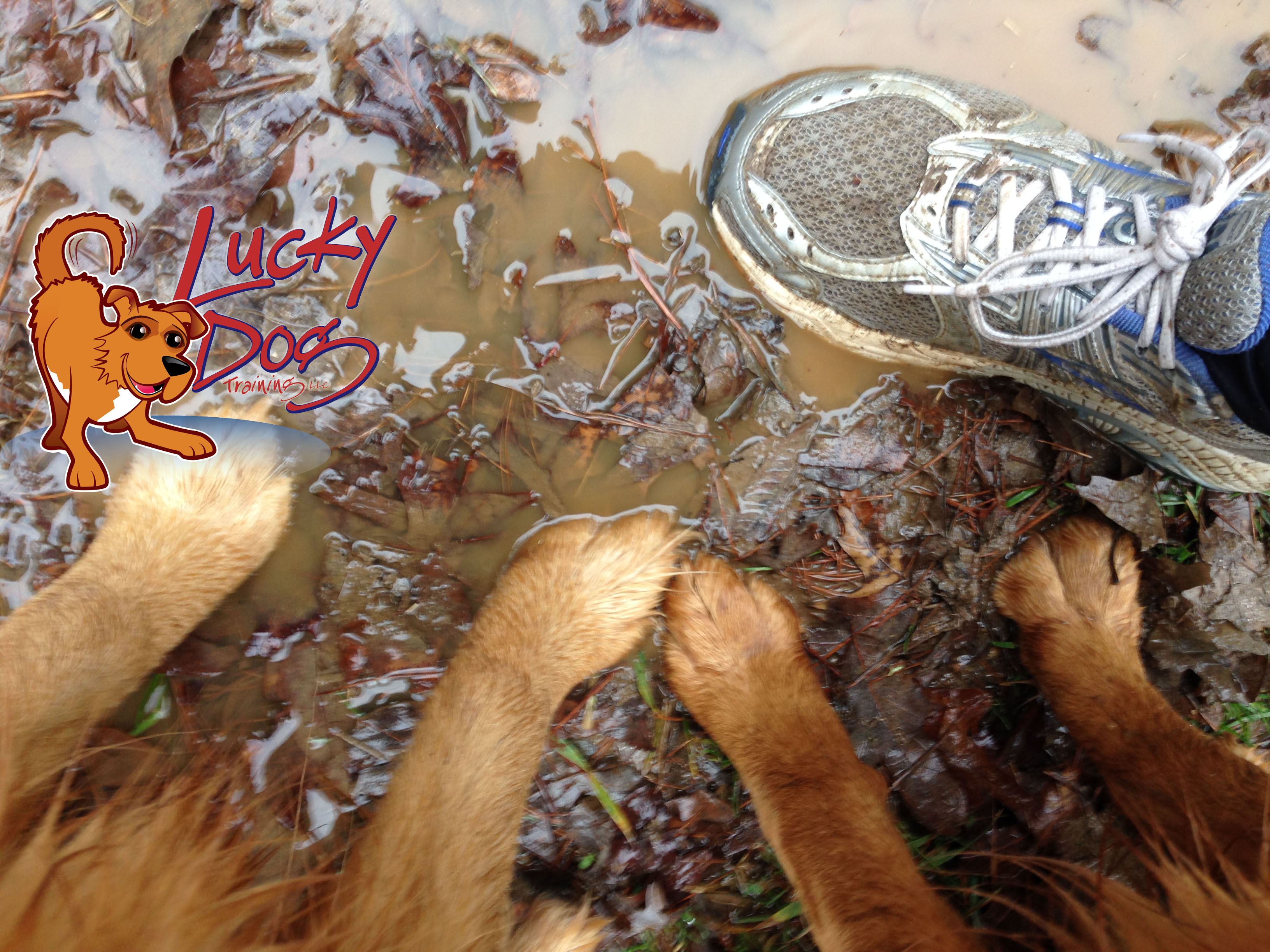 Daily Motivations – Day 3