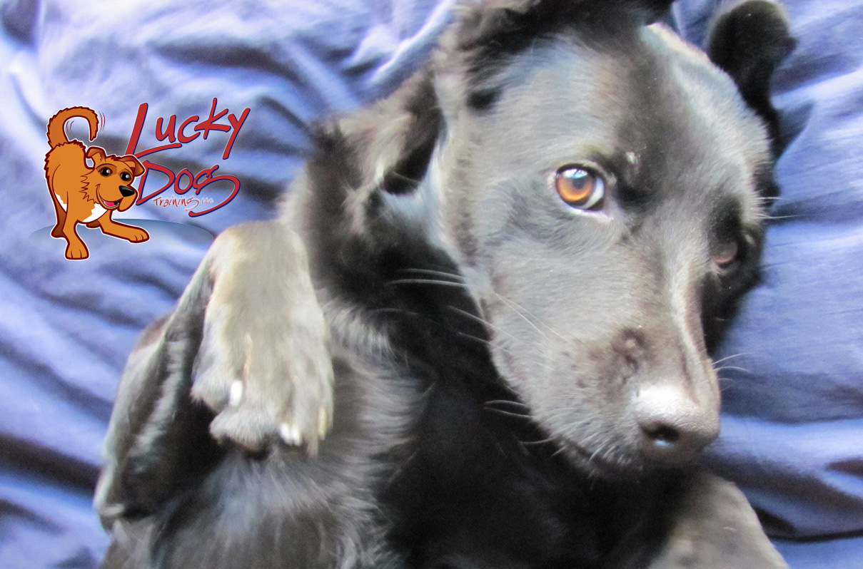 Daily Motivations – Day 15