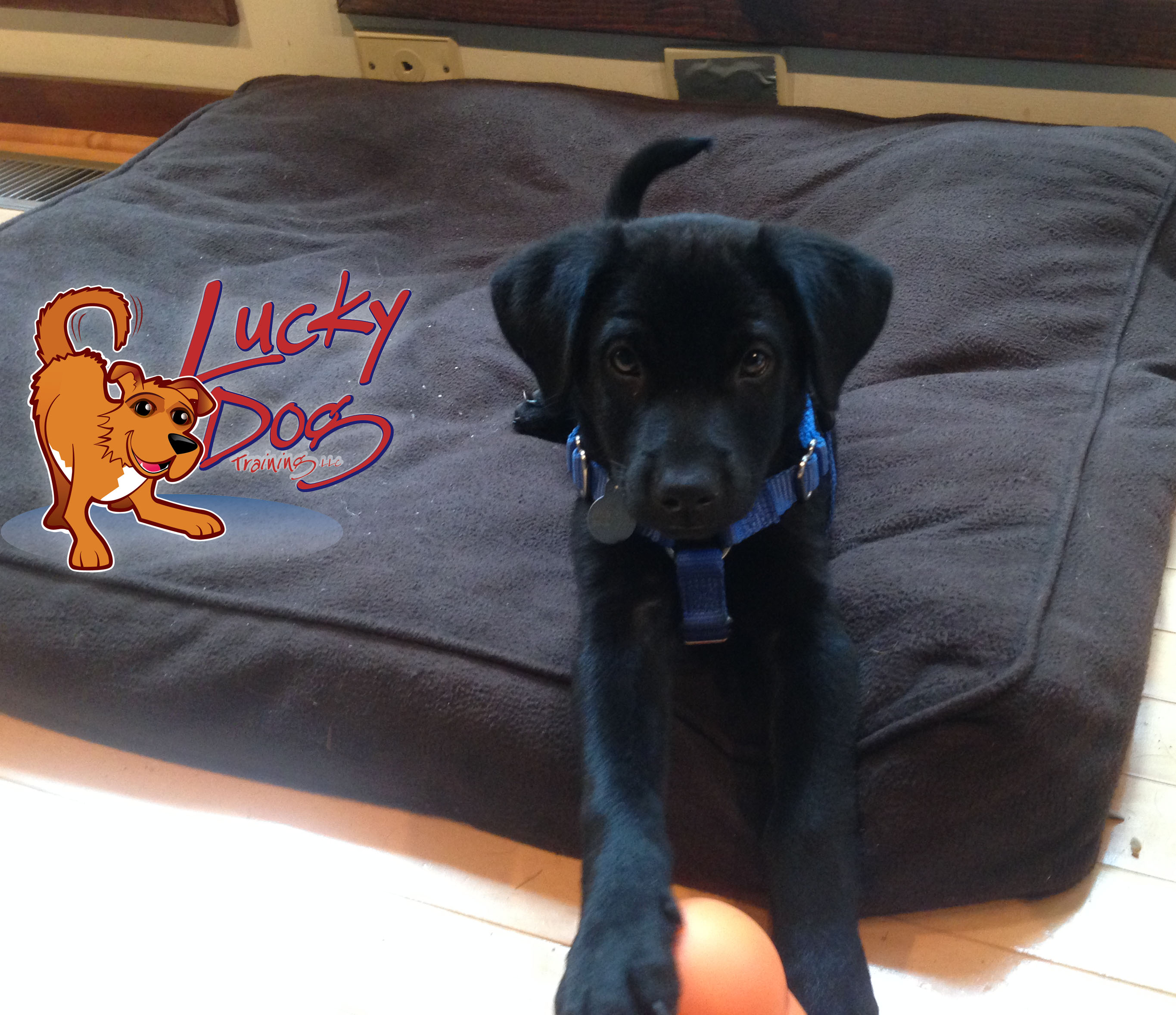 Daily Motivations – Day 13