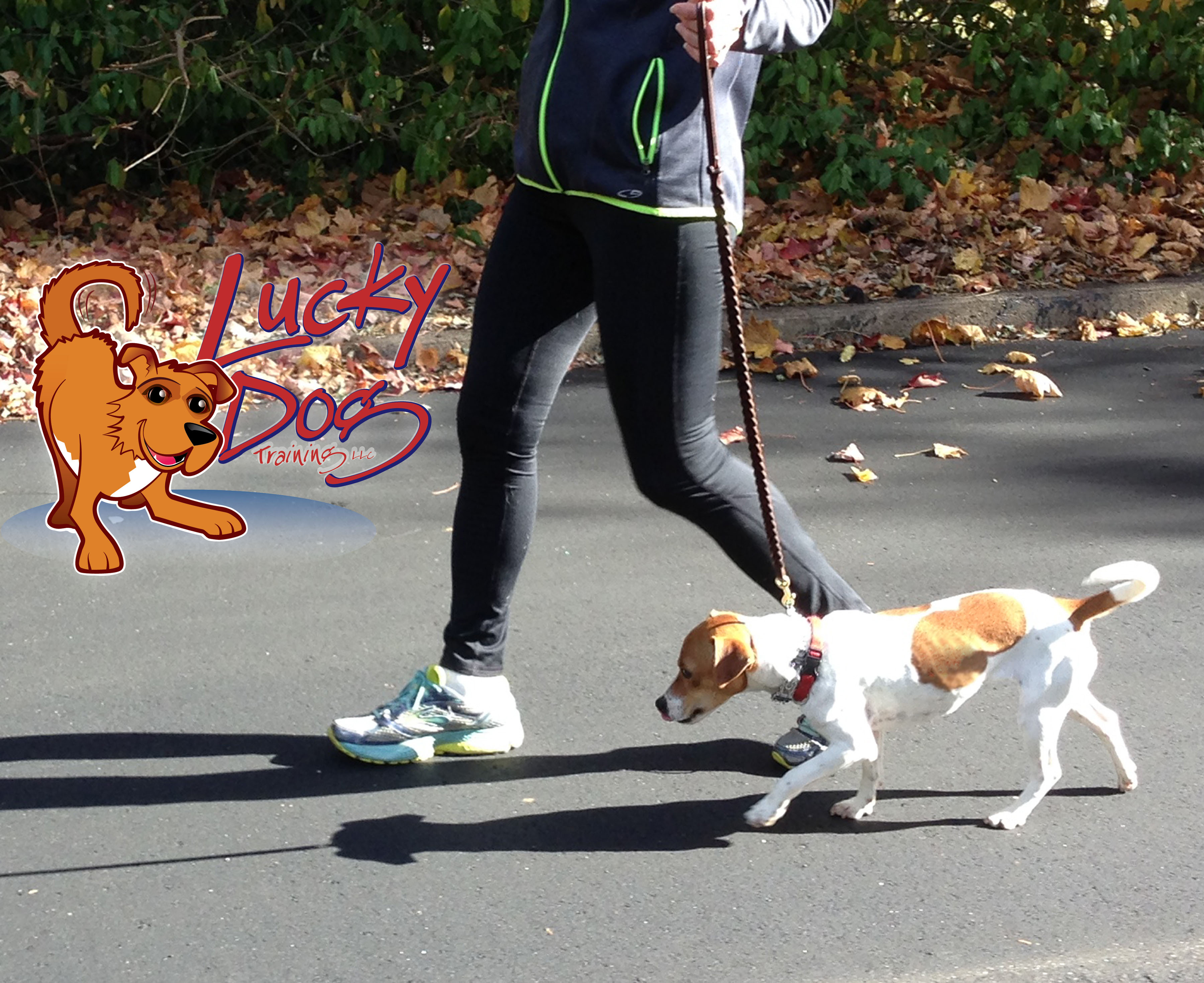 Daily Motivations – Day 6