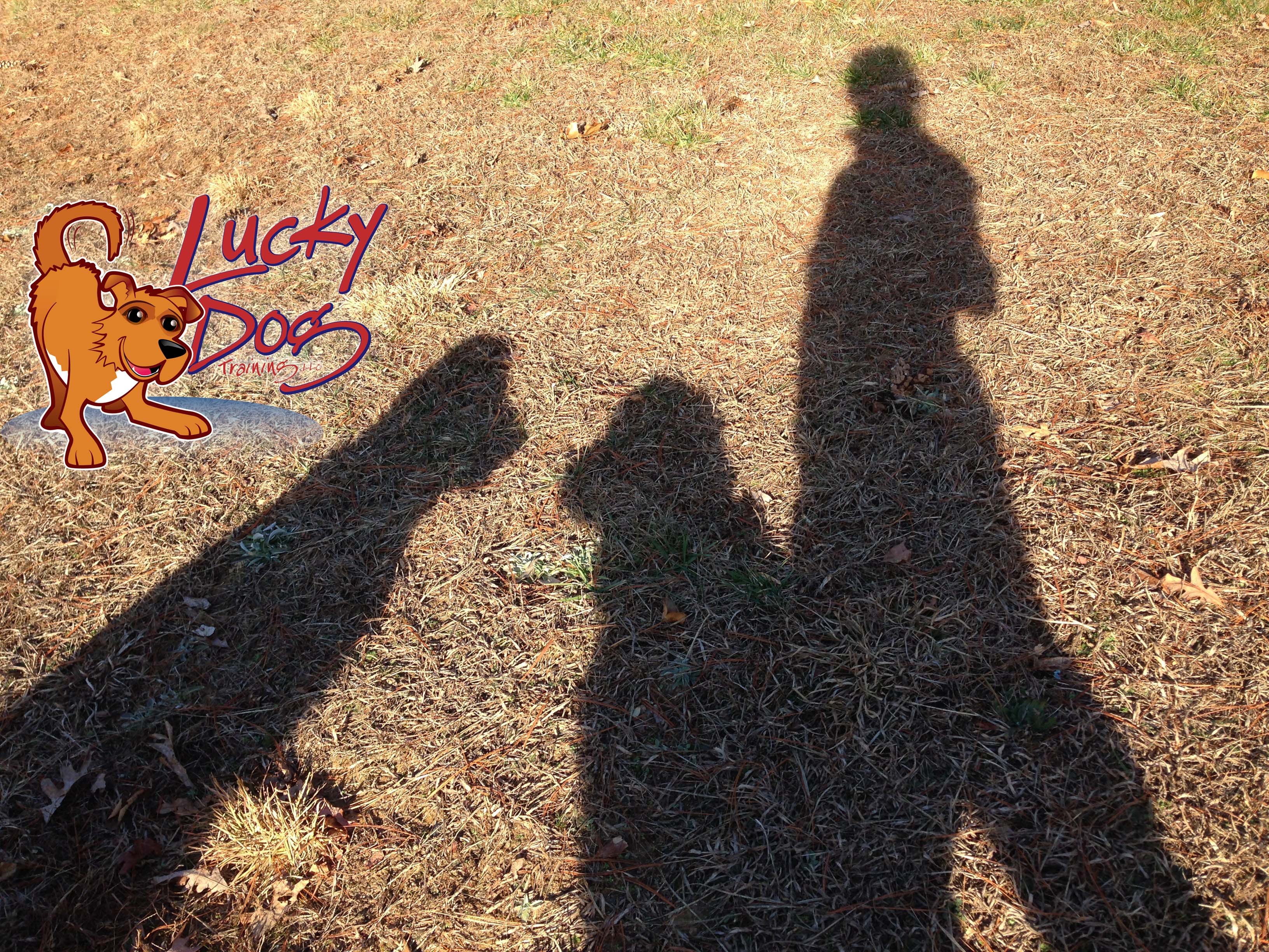 Daily Motivations – Day 5