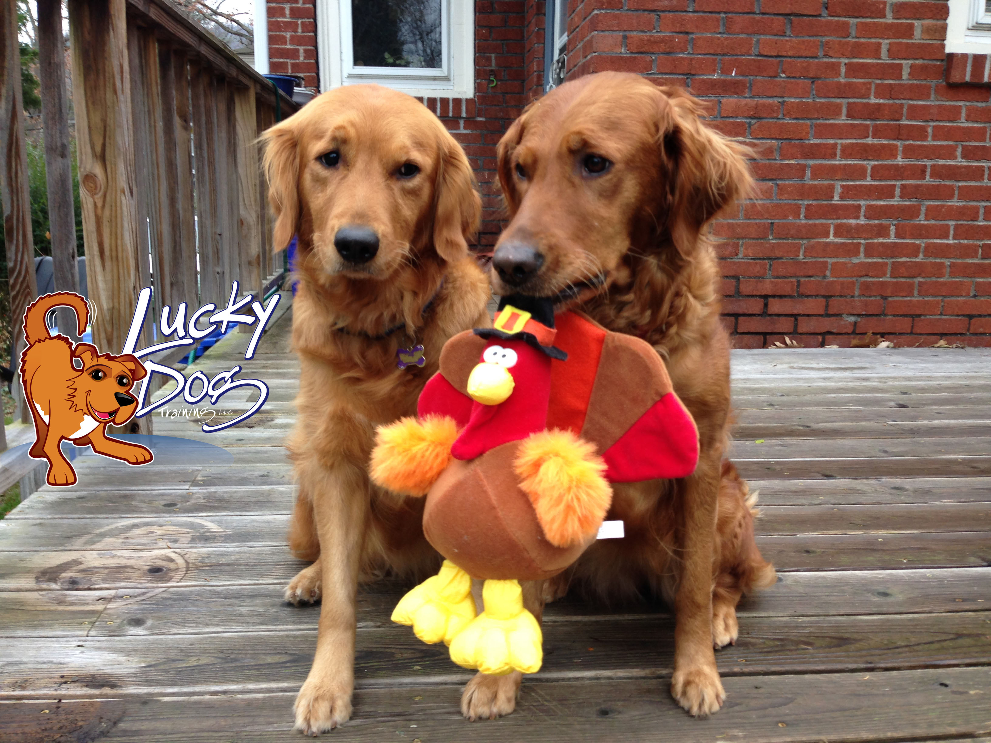 2014 Holidays – Thanksgiving