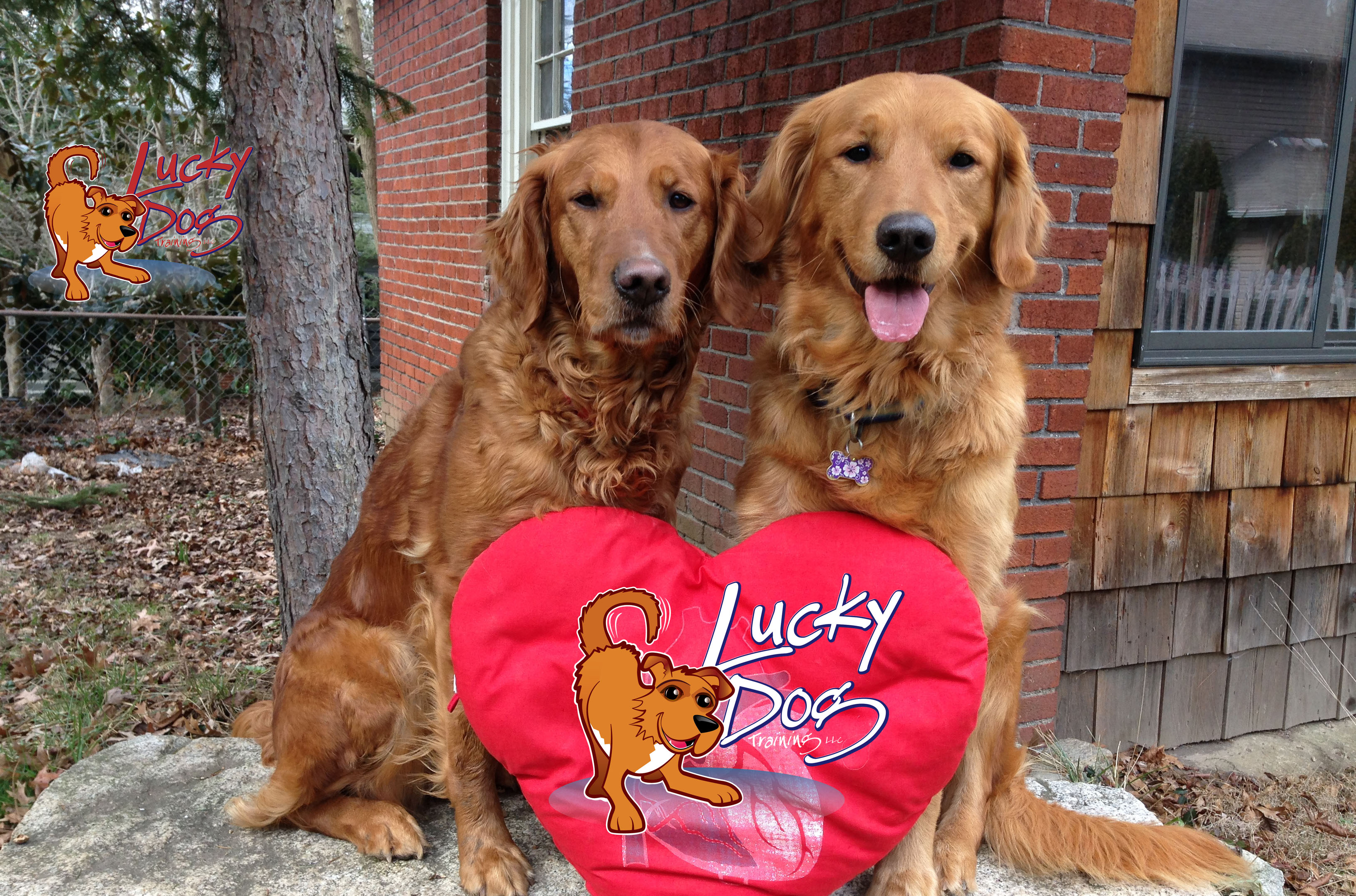 Valentine’s Day 2015