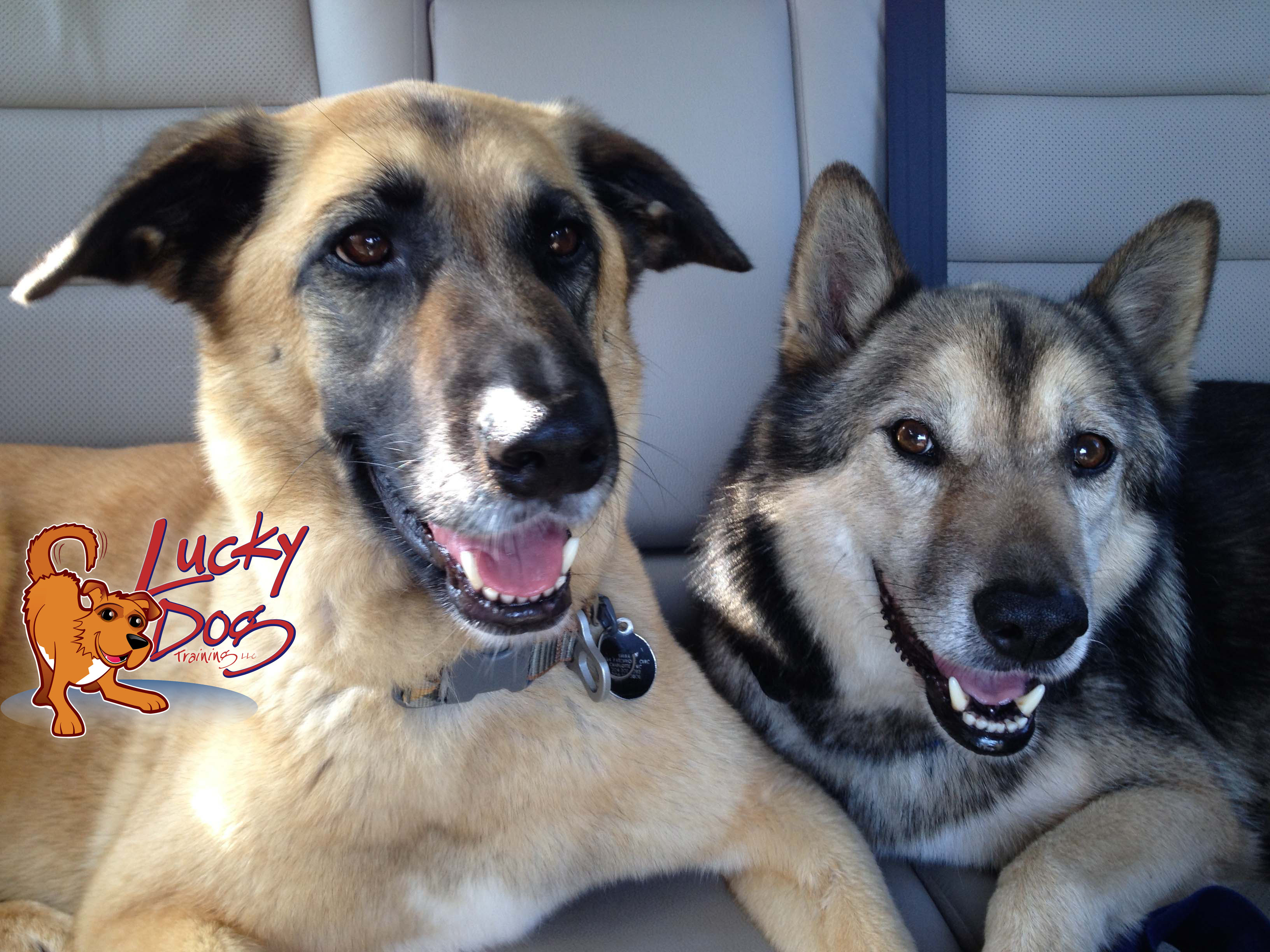 Daily Motivations – Day 11