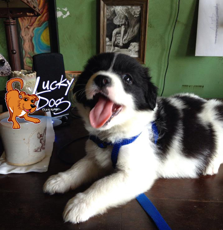 Daily Motivations – Day 16