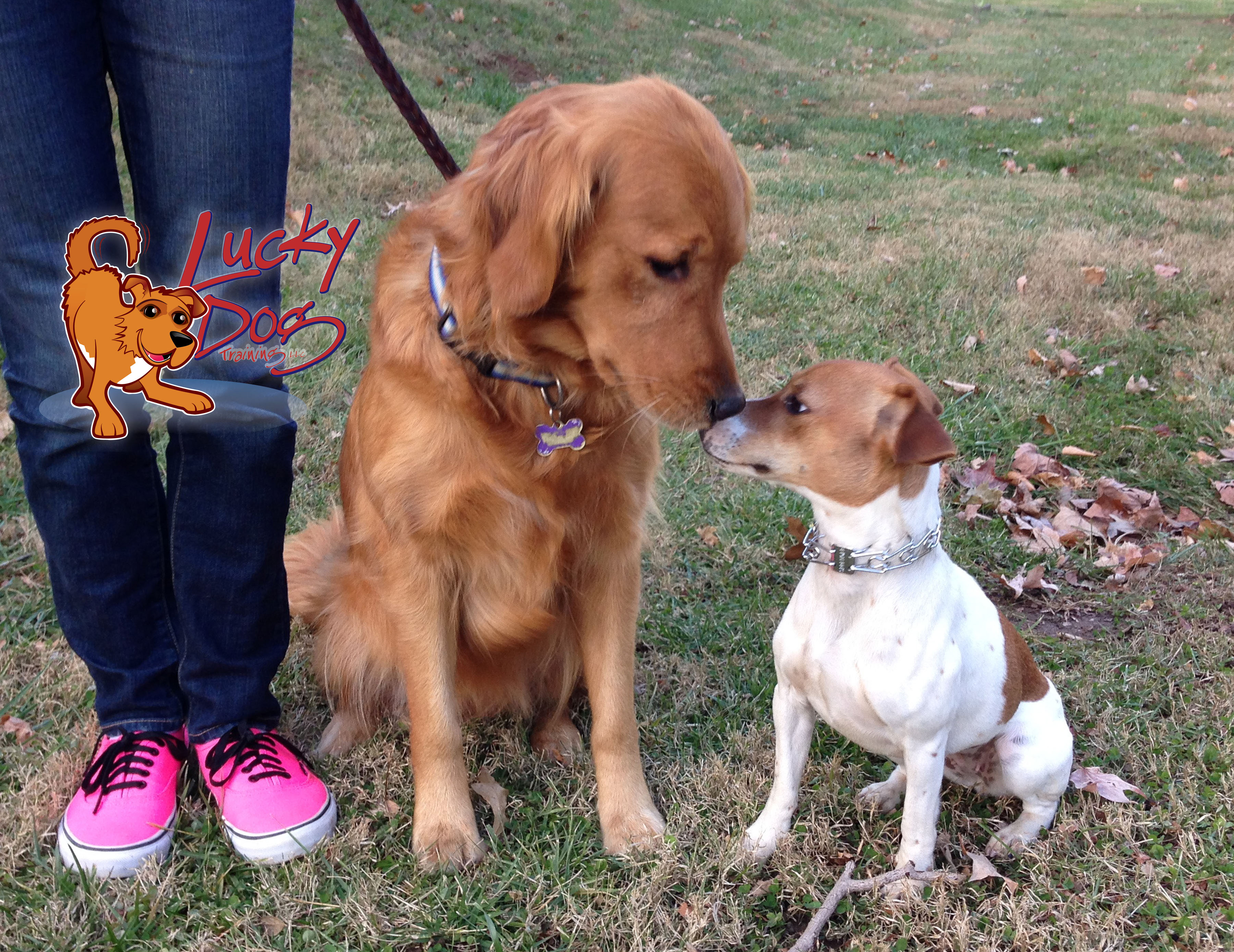 Daily Motivations – Day 10